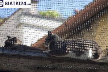Siatki Lubawa - Siatka na balkony dla kota i zabezpieczenie dzieci dla terenów Lubawy